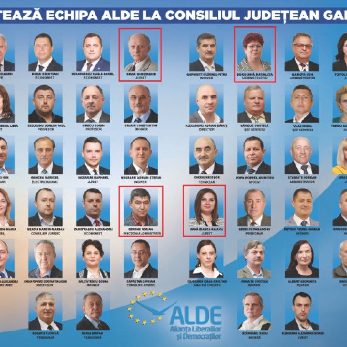 ALDE lista judet
